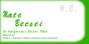 mate becsei business card